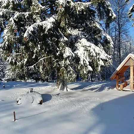 Le Grand Loup, Neuf Avec Bain Nordique Apartment *